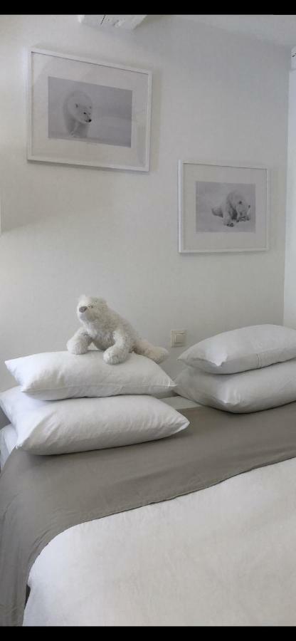 شقة La Taniere De L'Ours Blanc Aubagne-Cassis-Aix En Provence المظهر الخارجي الصورة